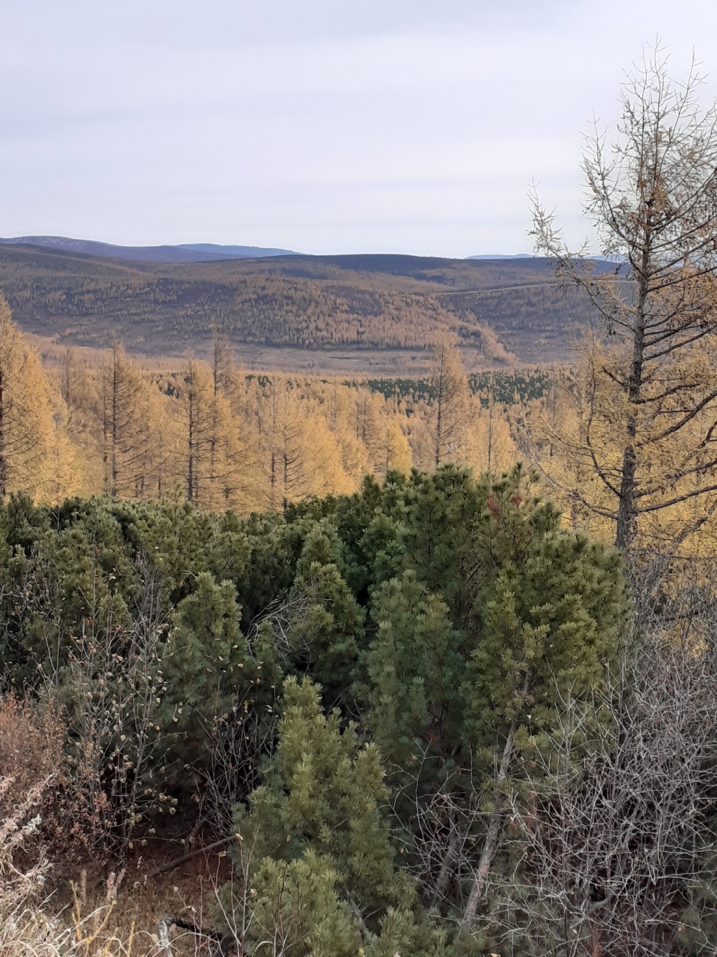 Осеннее автопутешествие географа. Часть 1. Край многолетней мерзлоты